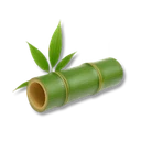 Bamboo