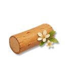 Bitter Orange Tree Timber
