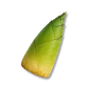 Bamboo Shoots