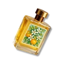 Advanced Orange Flower Incense