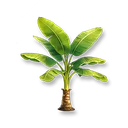 Banana Tree