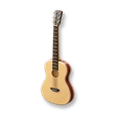 Acoustic Guitar