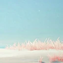 Beach Background