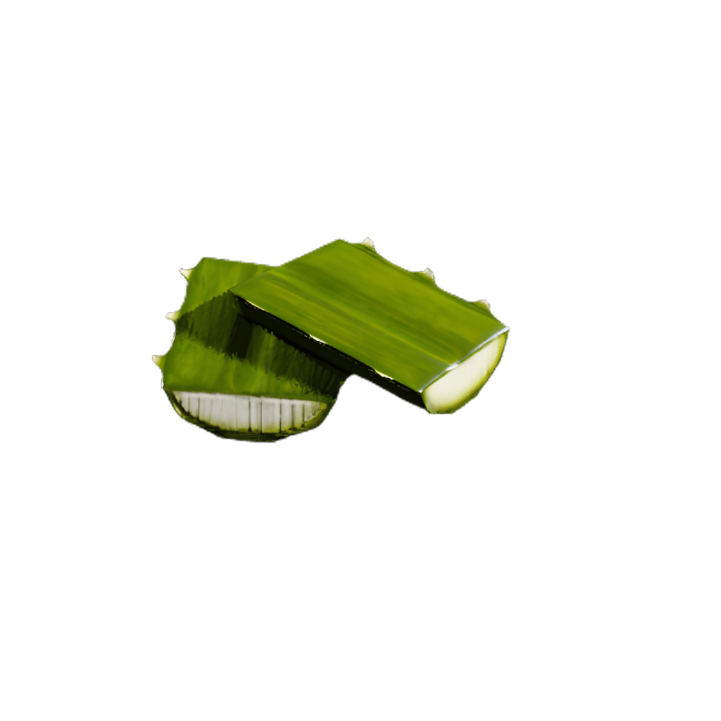 Agave