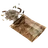 Assorted Seeds