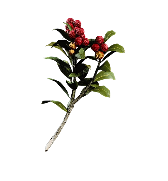 Candleberries