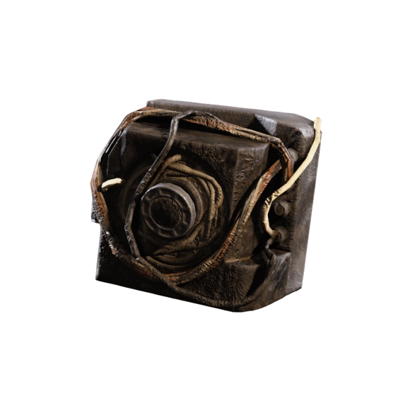 Damaged Tick Pod