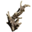Fossilized Lightning