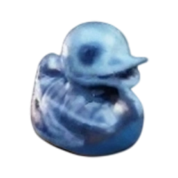 MRI Duck