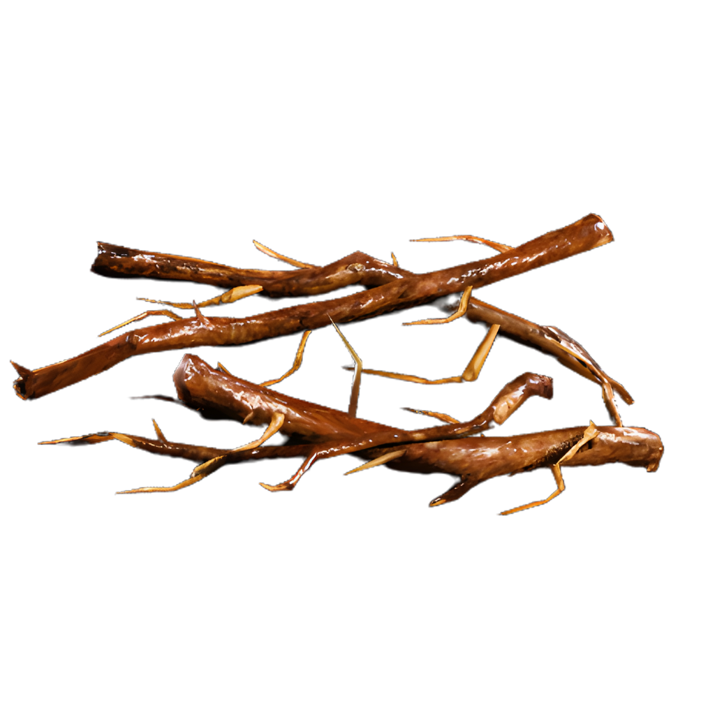 Roots