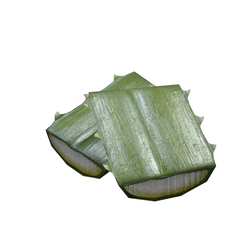 Agave