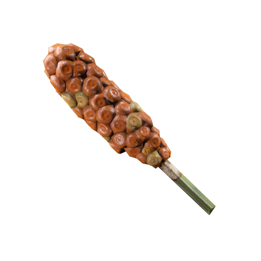 Possibly Toxic Plant