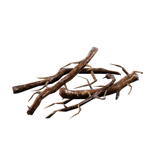Roots