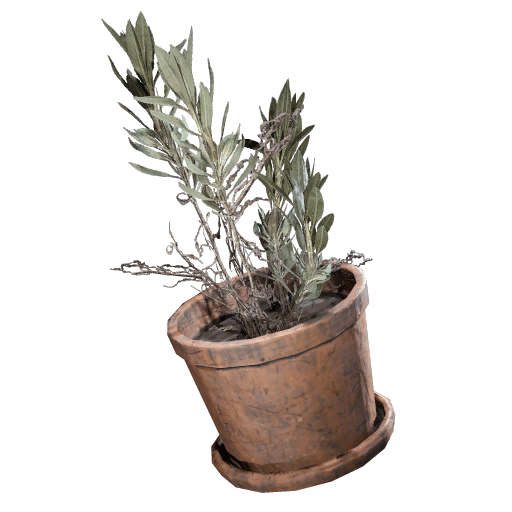 Potted Plant