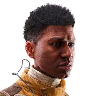 Afro Fade Hair