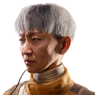Bowl Cut Hair