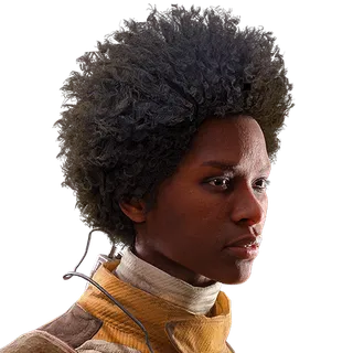 Long Afro Hair