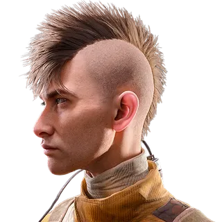 Mohawk Hair