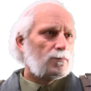 Mutton Chops Facial Hair