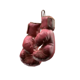 Boxing Gloves Backpack Attachment