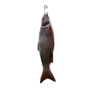 Fish Backpack Charm