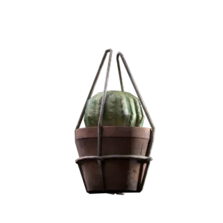 Succulent Backpack Charm