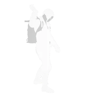 Beekeeper Emote