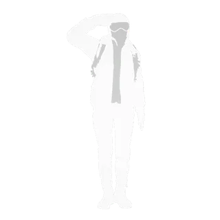 Salute Emote