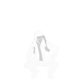 Squat Emote