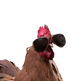 Aviator Glasses Scrappy Outfit