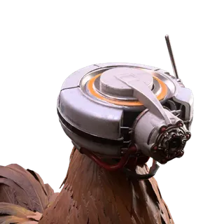 Wasp Hunter Helmet Scrappy Outfit