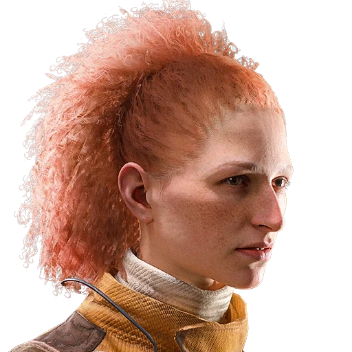 Curly Ponytail Hair in ARC Raiders