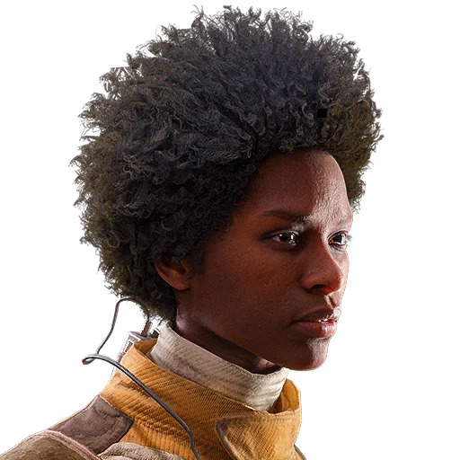 Long Afro Hair in ARC Raiders