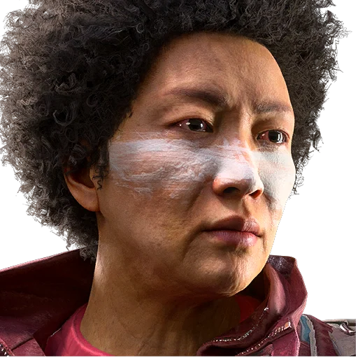 Nose Stripe Face Style in ARC Raiders
