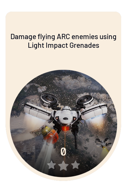 Damage flying ARC enemies using Light Impact Grenades