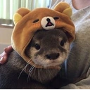HolyBanana