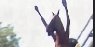 glasscannon3891#8471's avatar