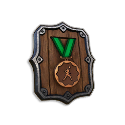 Bronze Medal