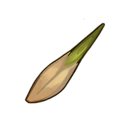Ash tree Seed