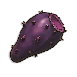 Bunny Cactus Seed
