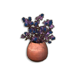 Potted Dwellberry Bush