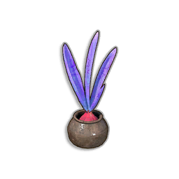 Potted Onion