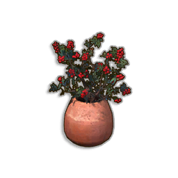 Potted Redberry Bush
