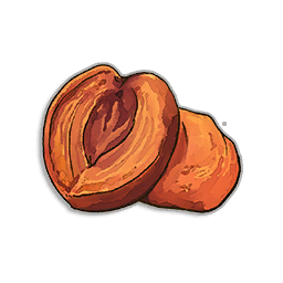 Burnt Peach