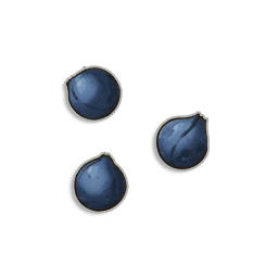 Dwellberry seeds