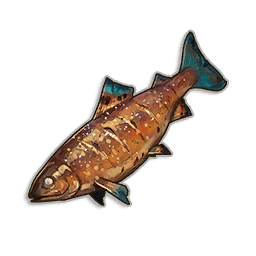 Burnt Desert Sole