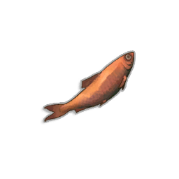 Burnt Sardine