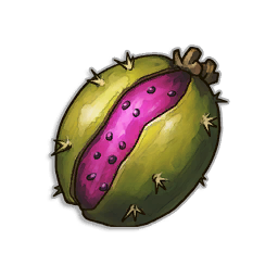 Pipe Cactus Seed