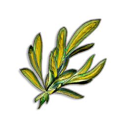 Marrentill