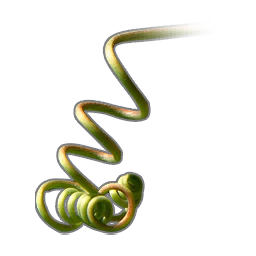 Vine Root